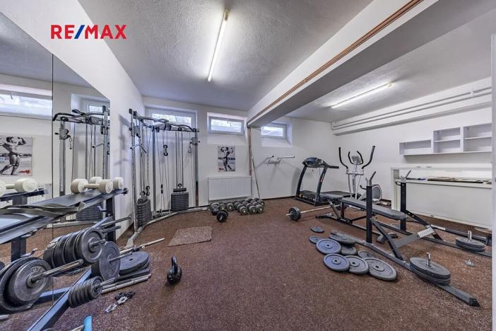 Prodej vícegeneračního domu, Doksy, Pod Borným, 1700 m2