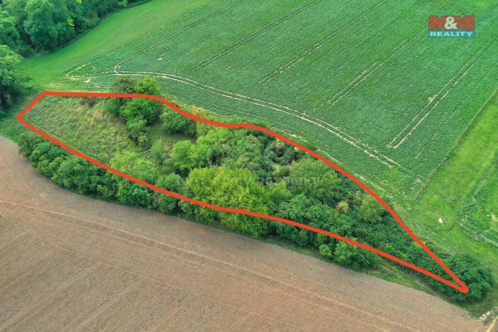 Prodej lesa, Velké Všelisy, 1302 m2