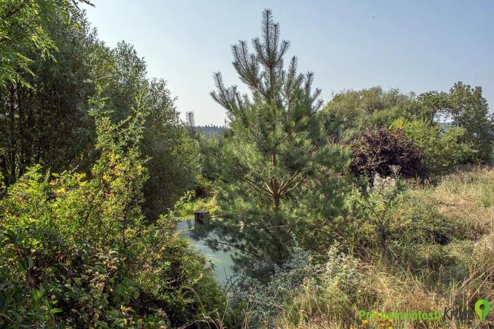 Prodej pozemku pro bydlení, Spálené Poříčí, 4447 m2