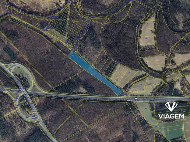 Prodej podílu lesa, Poděbrady, 1388 m2