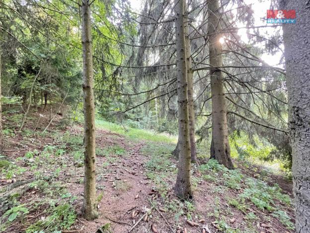 Prodej zahrady, Borová, 594 m2