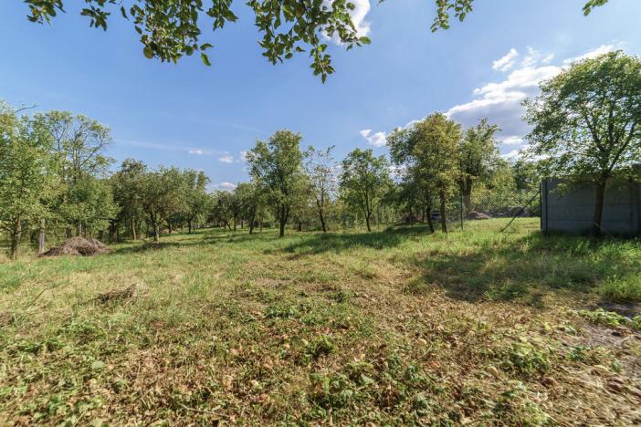 Prodej rodinného domu, Bařice-Velké Těšany - Velké Těšany, 240 m2