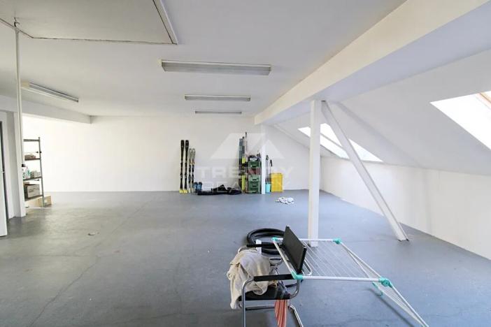 Prodej obchodního prostoru, Plzeň, Pod Všemi svatými, 450 m2