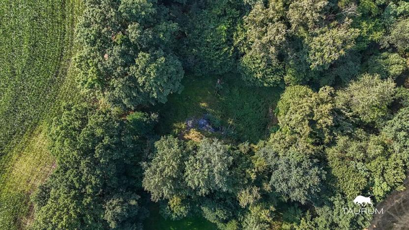 Prodej zahrady, Domažlice, 5634 m2