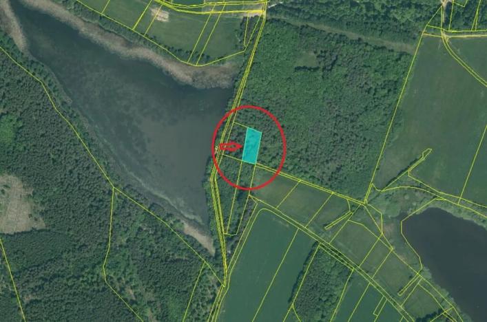 Prodej podílu lesa, Dříteň, 3282 m2