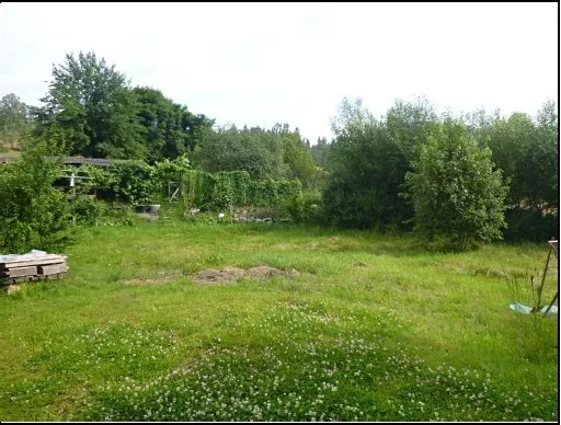 Dražba louky, Šindelová, 1538 m2