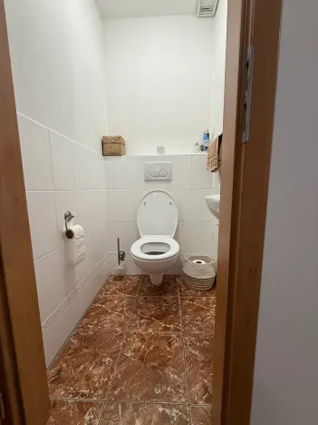 Pronájem bytu 5+kk, Brno, Skořepka, 146 m2