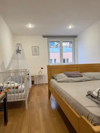 Pronájem bytu 5+kk, Brno, Skořepka, 146 m2