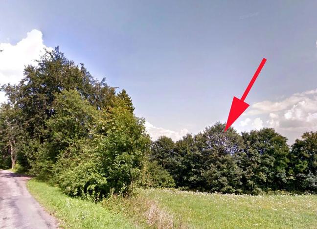 Prodej lesa, Cotkytle, 7064 m2