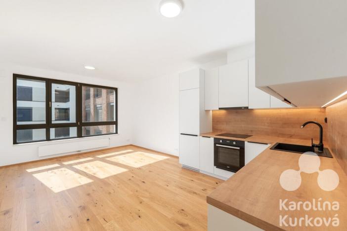 Pronájem bytu 2+kk, Praha - Nusle, Muzikova, 56 m2