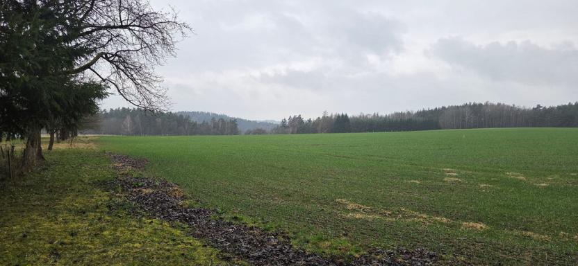 Prodej pozemku, Chocnějovice - Buda, 2533 m2