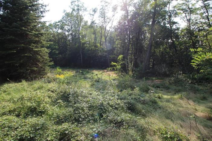 Prodej chaty, Husinec, Nad Údolím, 80 m2