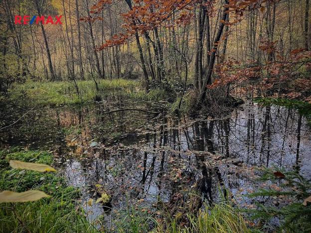 Prodej pozemku pro bydlení, Blatce, 2960 m2