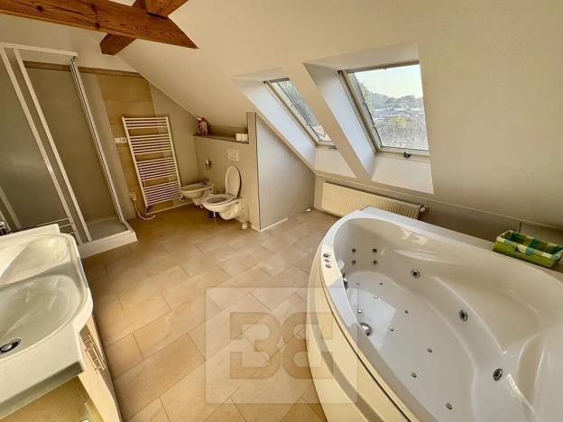 Pronájem bytu 4+kk, Velké Opatovice, Sokolská, 195 m2