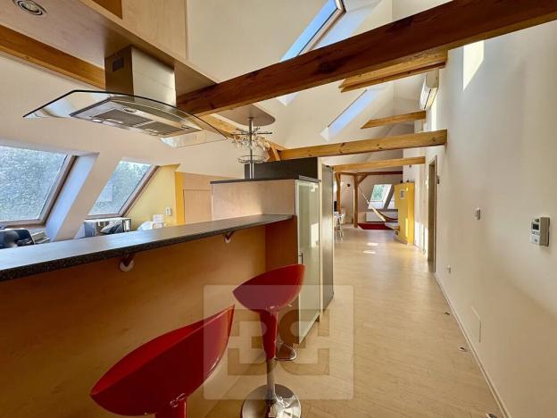 Pronájem bytu 4+kk, Velké Opatovice, Sokolská, 195 m2