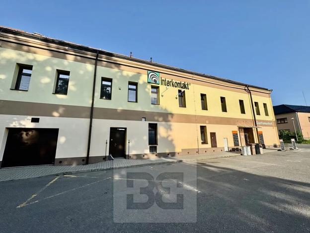 Pronájem bytu 4+kk, Velké Opatovice, Sokolská, 195 m2