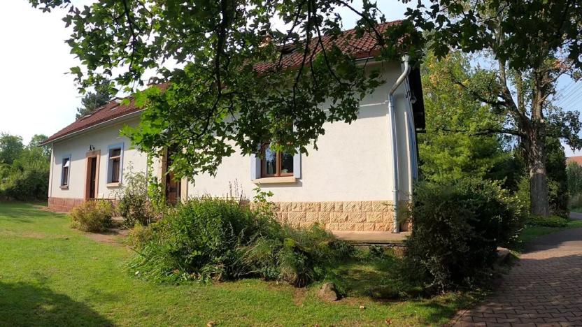 Prodej chalupy, Pecka, 300 m2