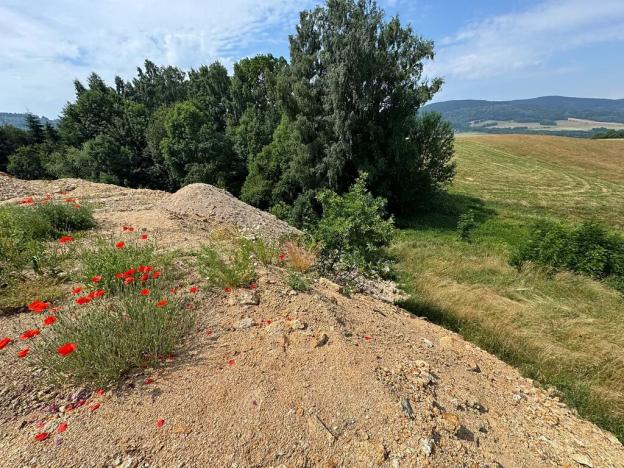 Prodej pozemku pro bydlení, Dlouhý Most, 4689 m2