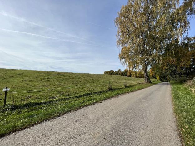 Prodej louky, Horní Planá - Pernek, 8530 m2