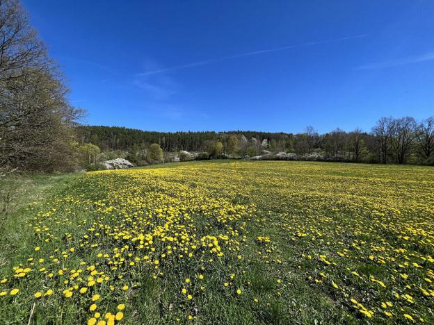 Prodej pole, Kájov - Staré Dobrkovice, 15428 m2