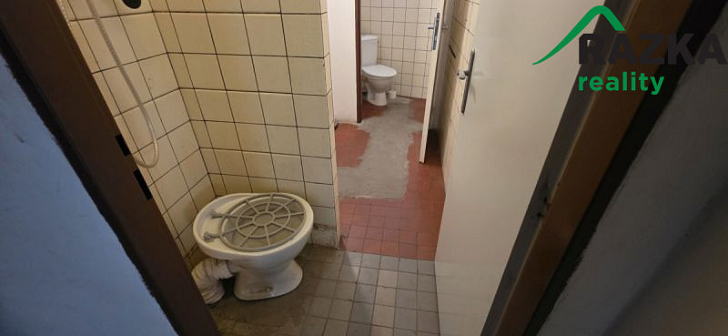 Pronájem výrobních prostor, Planá, 249 m2