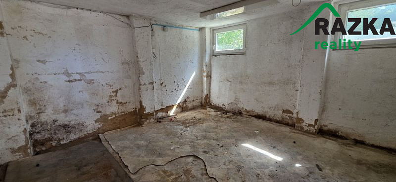 Pronájem výrobních prostor, Planá, 249 m2