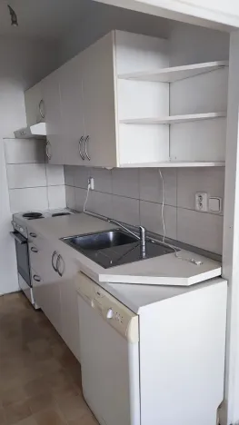 Prodej obchodního prostoru, Praha, Wenzigova, 52 m2