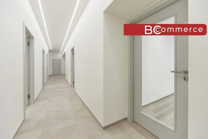 Pronájem kanceláře, Brno, Jánská, 167 m2