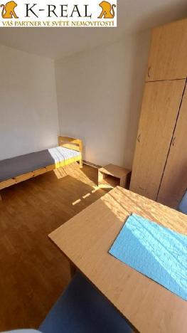 Pronájem bytu 1+kk, Velká Bíteš, 22 m2