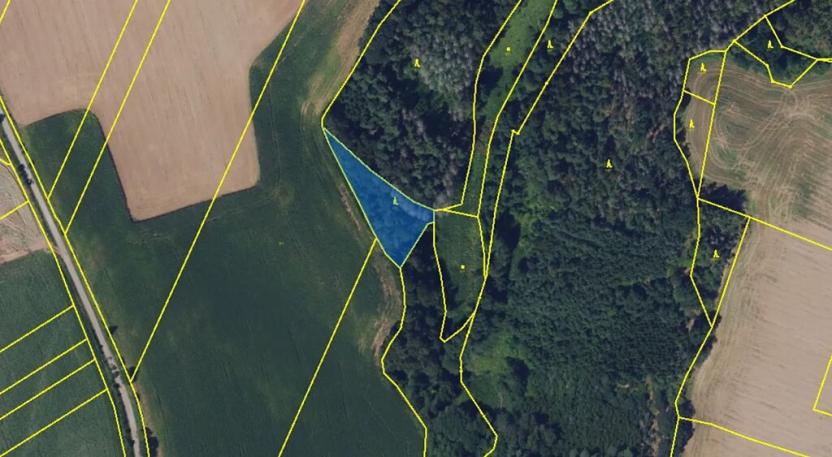 Prodej lesa, Letovice, 1894 m2