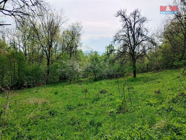 Prodej pozemku pro bydlení, Jeseník nad Odrou - Hůrka, 2730 m2