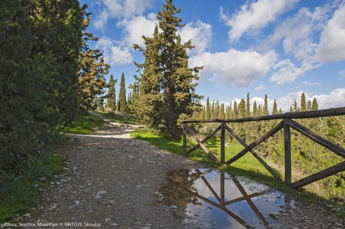 Prodej domu, Palia Fokia, Attiki - Athens, Řecko, 600 m2