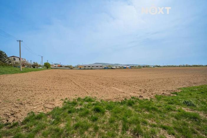 Prodej komerčního pozemku, Zábřeh, Lesnická, 16000 m2