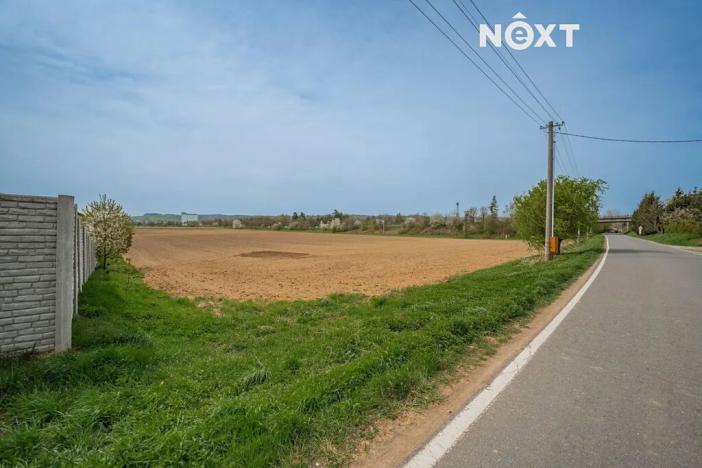 Prodej komerčního pozemku, Zábřeh, Lesnická, 16000 m2