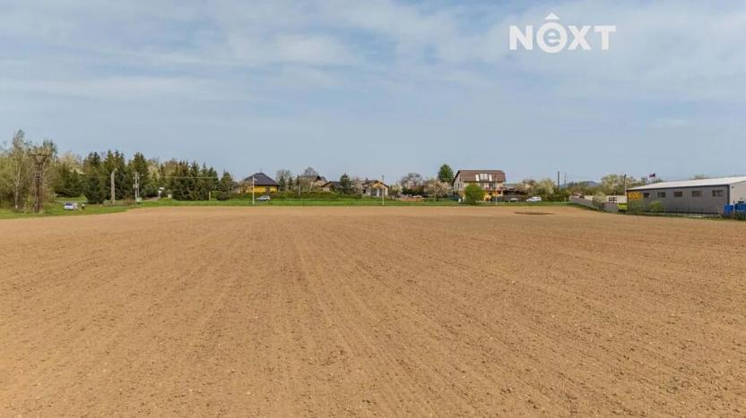 Prodej komerčního pozemku, Zábřeh, Lesnická, 16000 m2