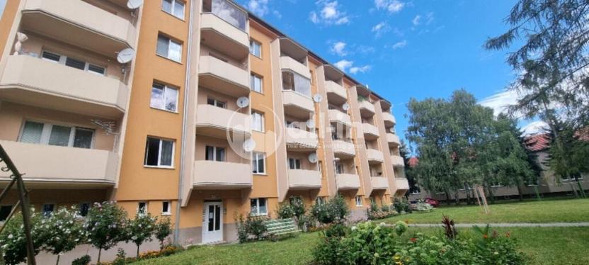 Prodej bytu 2+1, Vyškov - Vyškov-Předměstí, Sochorova, 56 m2