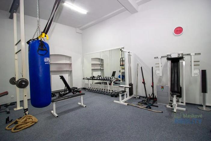 Pronájem skladu, Brandýs nad Labem-Stará Boleslav, Pražská, 92 m2