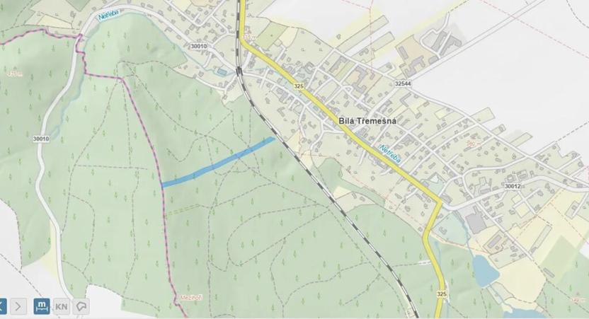 Prodej lesa, Bílá Třemešná, 7940 m2