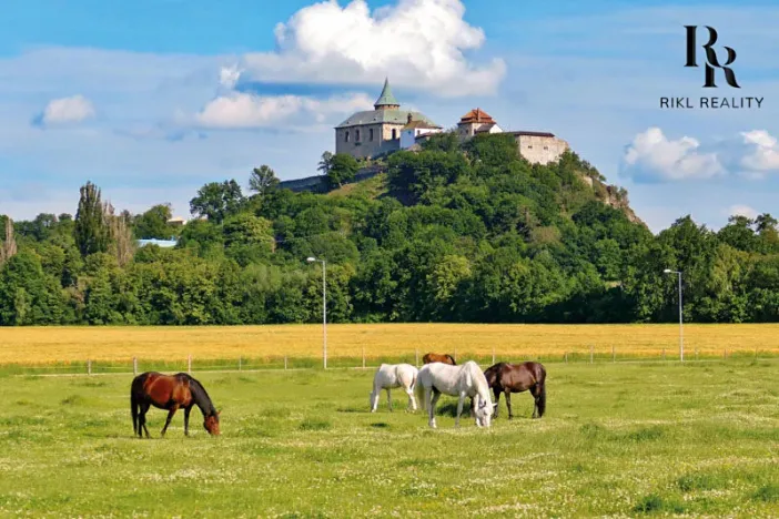 Prodej pozemku pro bydlení, Ráby, 1168 m2