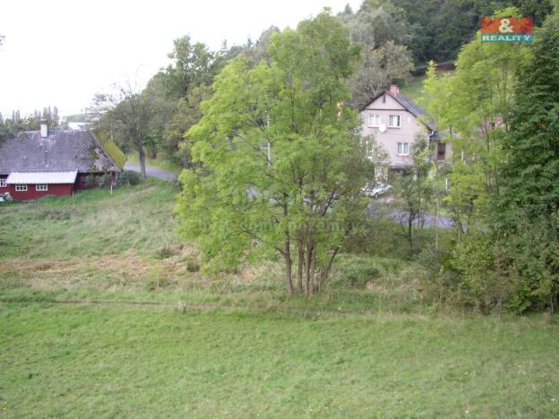 Prodej louky, Janův Důl, 2494 m2