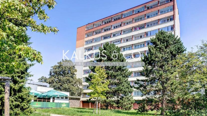 Prodej bytu 2+kk, Mladá Boleslav, Jičínská, 39 m2