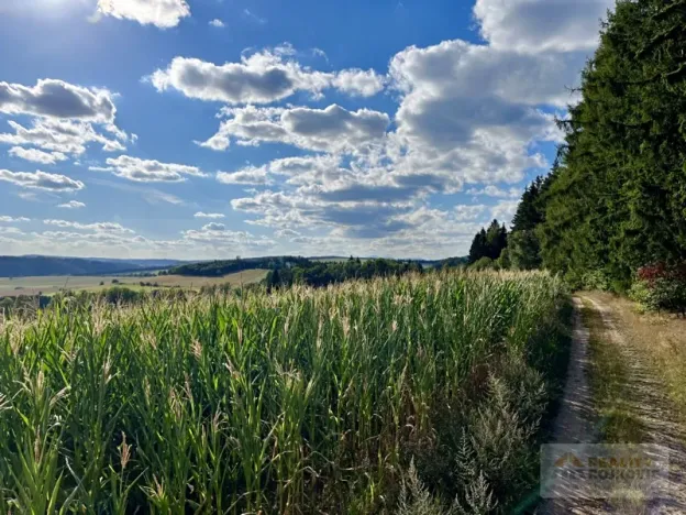 Prodej pozemku pro bydlení, Broumov, 3146 m2