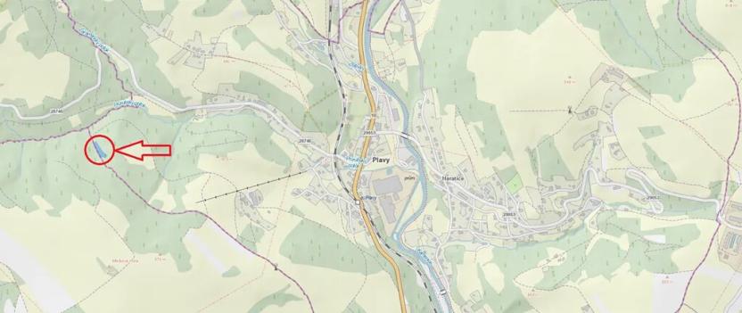 Prodej lesa, Plavy, 1810 m2