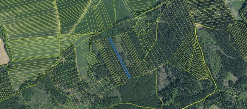 Prodej lesa, Hradiště, 5650 m2