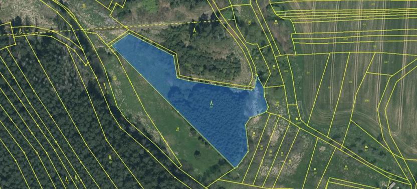 Prodej lesa, Sedlečko u Soběslavě, 6708 m2