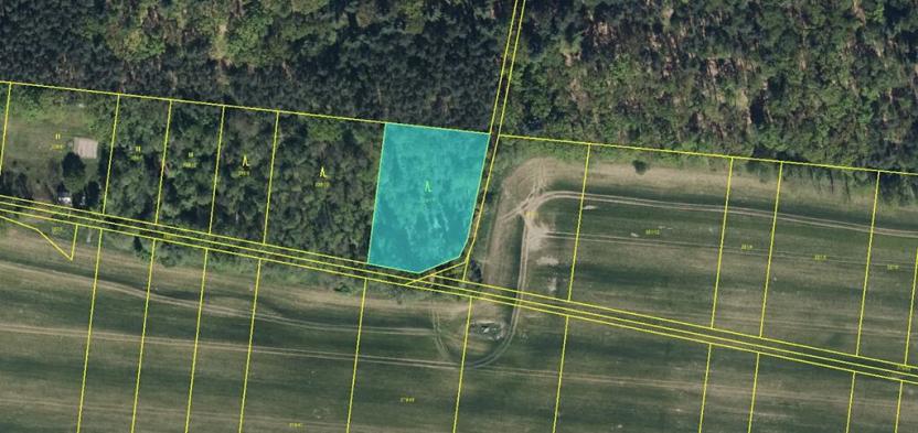 Prodej podílu lesa, Břehy, 5148 m2