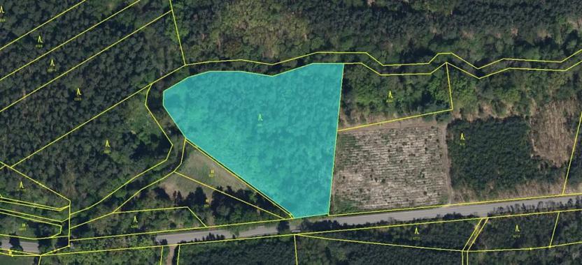 Prodej podílu lesa, Břehy, 5148 m2