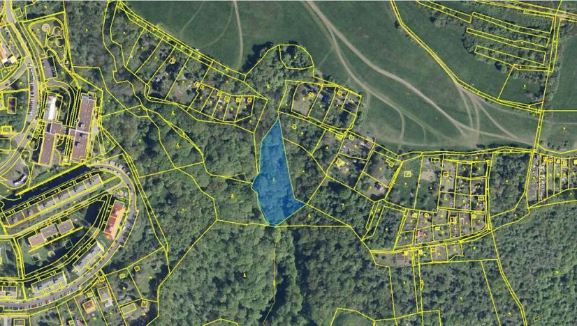 Prodej podílu lesa, Ústí nad Labem, 1184 m2
