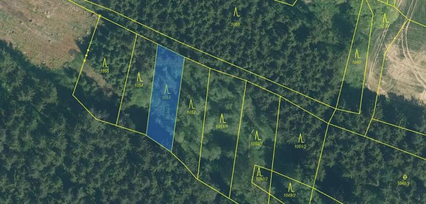 Prodej lesa, Přeštěnice, 4298 m2