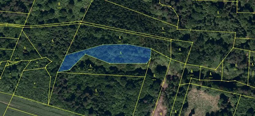 Prodej lesa, Velká Polom, 3342 m2